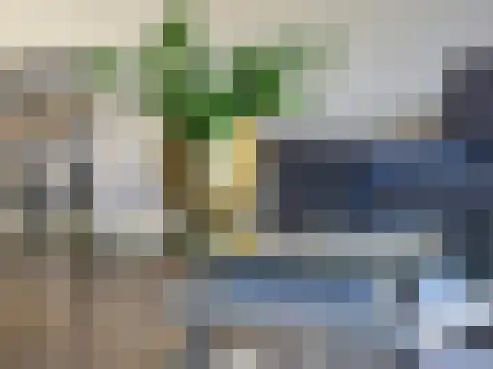 Emsdettenplein 14 Hengelo thumbnail 15