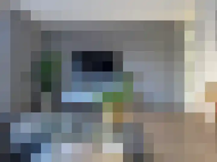 Emsdettenplein 14 Hengelo thumbnail 27