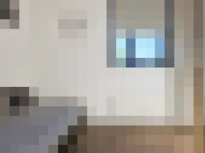 Emsdettenplein 14 Hengelo thumbnail 47