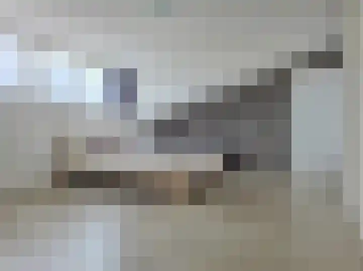 Emsdettenplein 14 Hengelo thumbnail 55