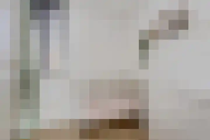 Emsdettenplein 9 Hengelo thumbnail 14