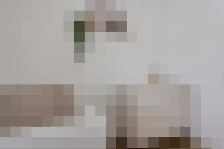 Emsdettenplein 9 Hengelo thumbnail 15
