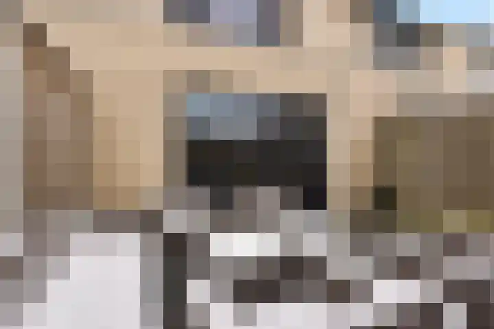 Emsdettenplein 9 Hengelo thumbnail 25