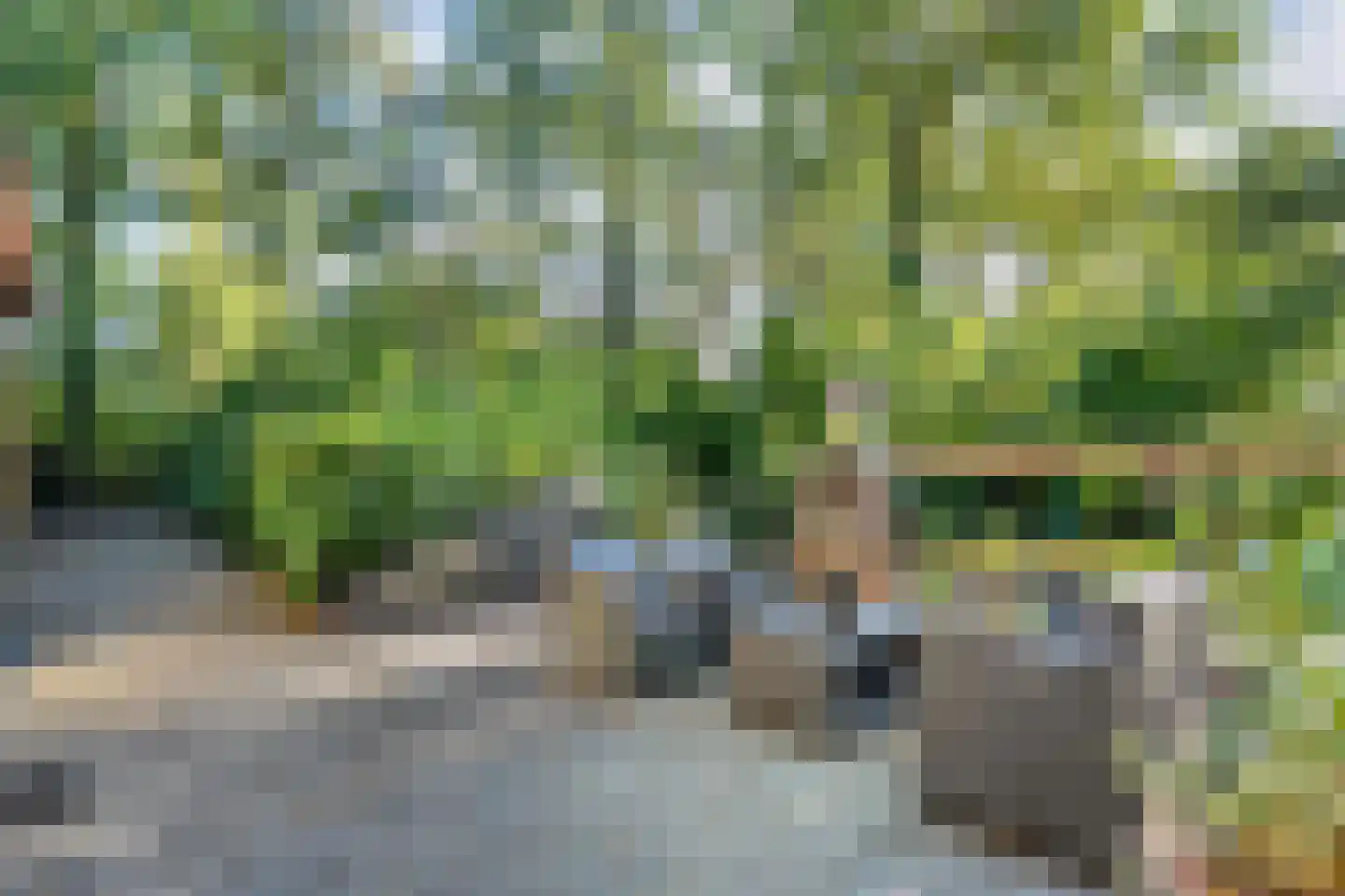 Emslandweg 1 4 Ommen thumbnail 5