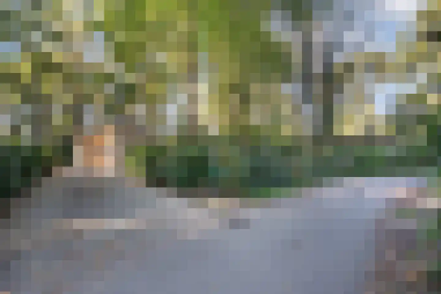 Emslandweg 1 4 Ommen thumbnail 7