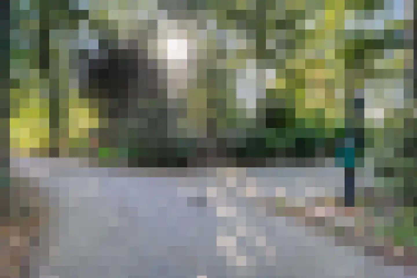 Emslandweg 1 4 Ommen thumbnail 8