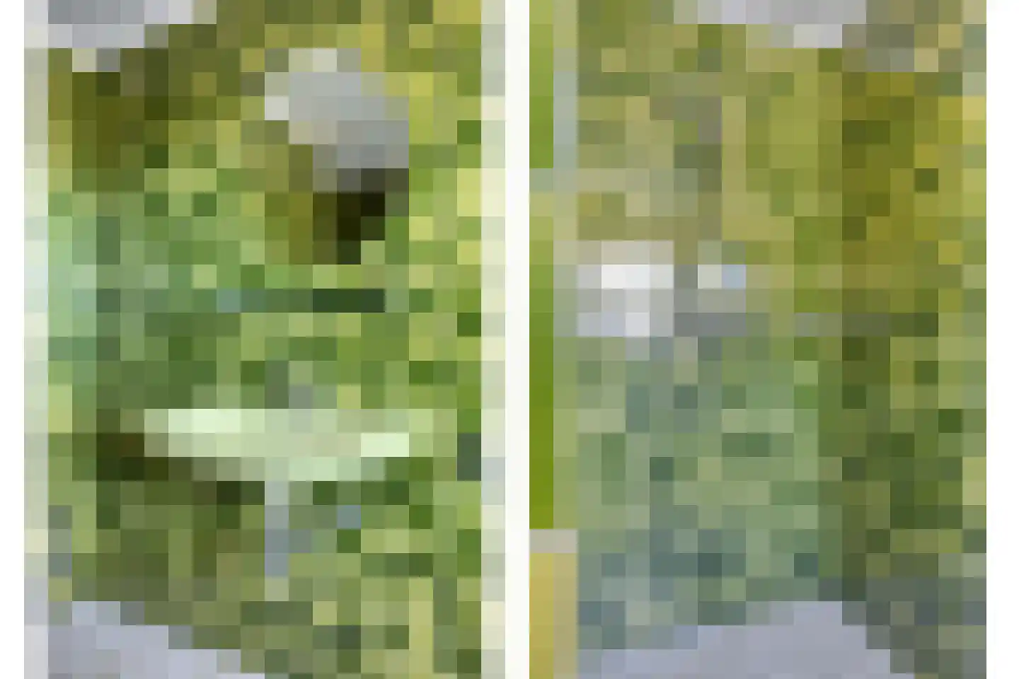 Emsterweg 20 Vaassen thumbnail 36
