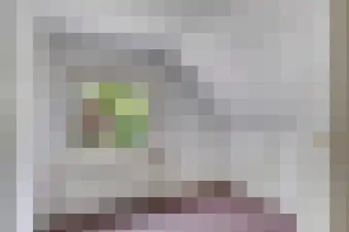 Emsterweg 37 Vaassen thumbnail 17
