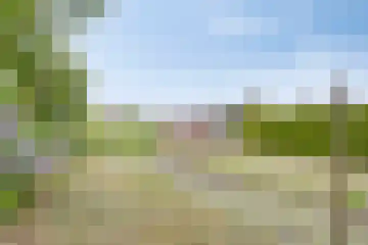 Emsterweg 37 Vaassen thumbnail 26