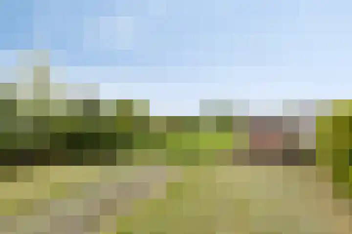 Emsterweg 37 Vaassen thumbnail 27