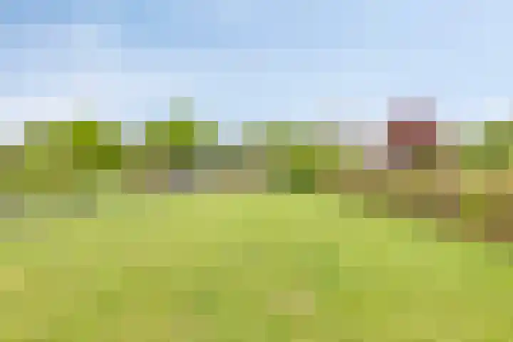 Emsterweg 37 Vaassen thumbnail 29
