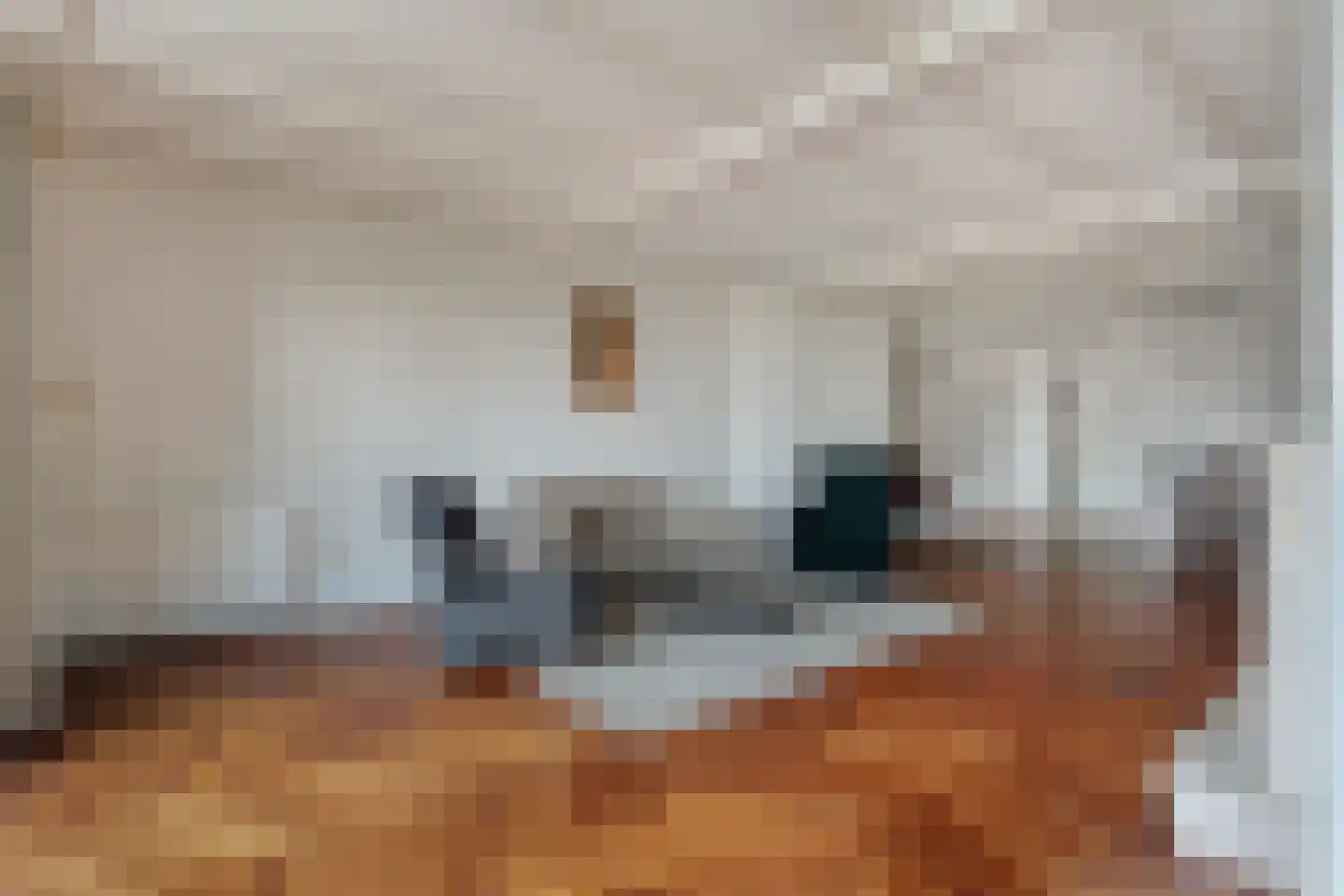 Emtenbroekerdijk 29 Kloosterhaar thumbnail 16