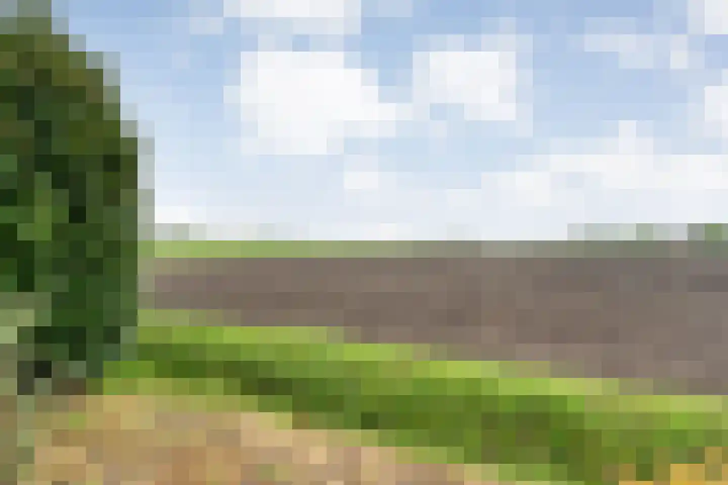 Emtenbroekerdijk 29 Kloosterhaar thumbnail 19