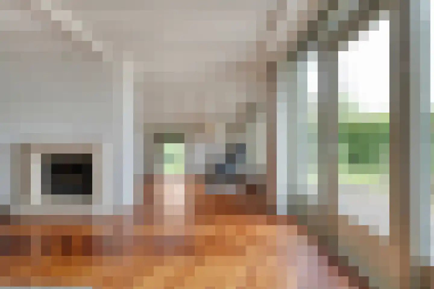 Emtenbroekerdijk 29 Kloosterhaar thumbnail 20