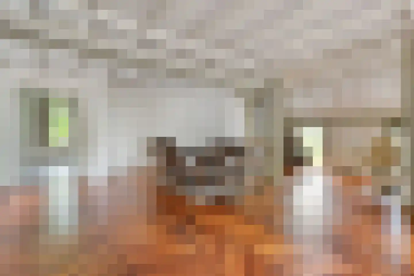 Emtenbroekerdijk 29 Kloosterhaar thumbnail 23
