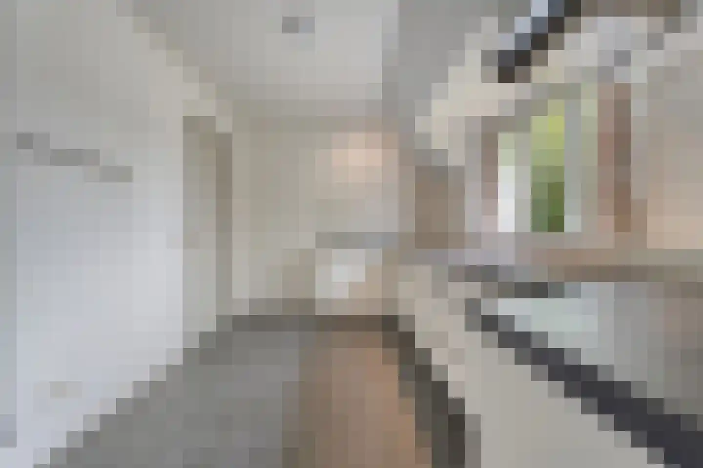 Emtenbroekerdijk 29 Kloosterhaar thumbnail 29