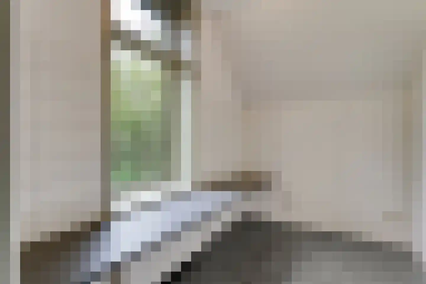 Emtenbroekerdijk 29 Kloosterhaar thumbnail 34