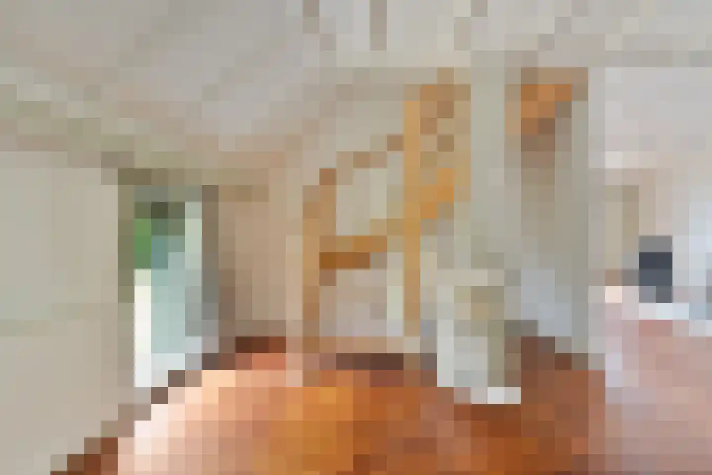 Emtenbroekerdijk 29 Kloosterhaar thumbnail 39