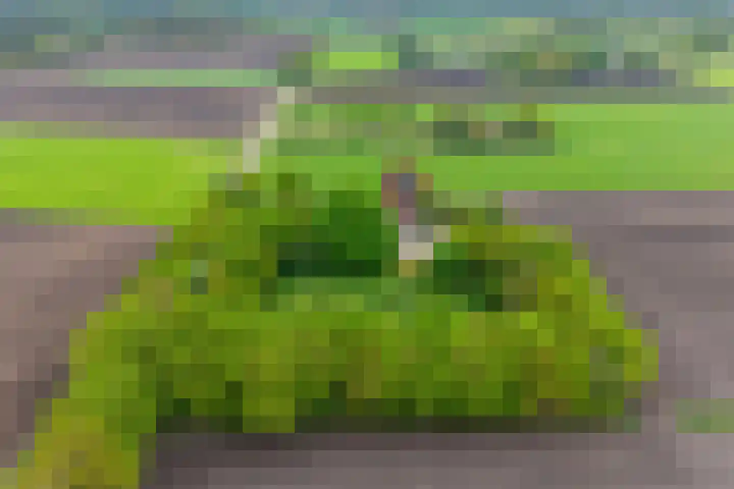 Emtenbroekerdijk 29 Kloosterhaar thumbnail 4