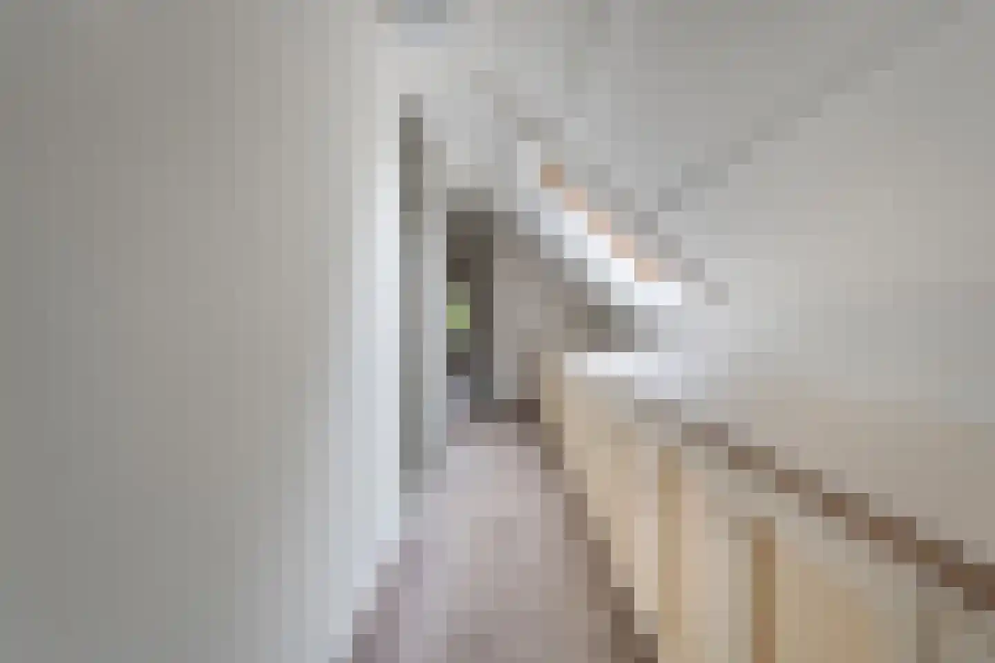 Emtenbroekerdijk 29 Kloosterhaar thumbnail 42