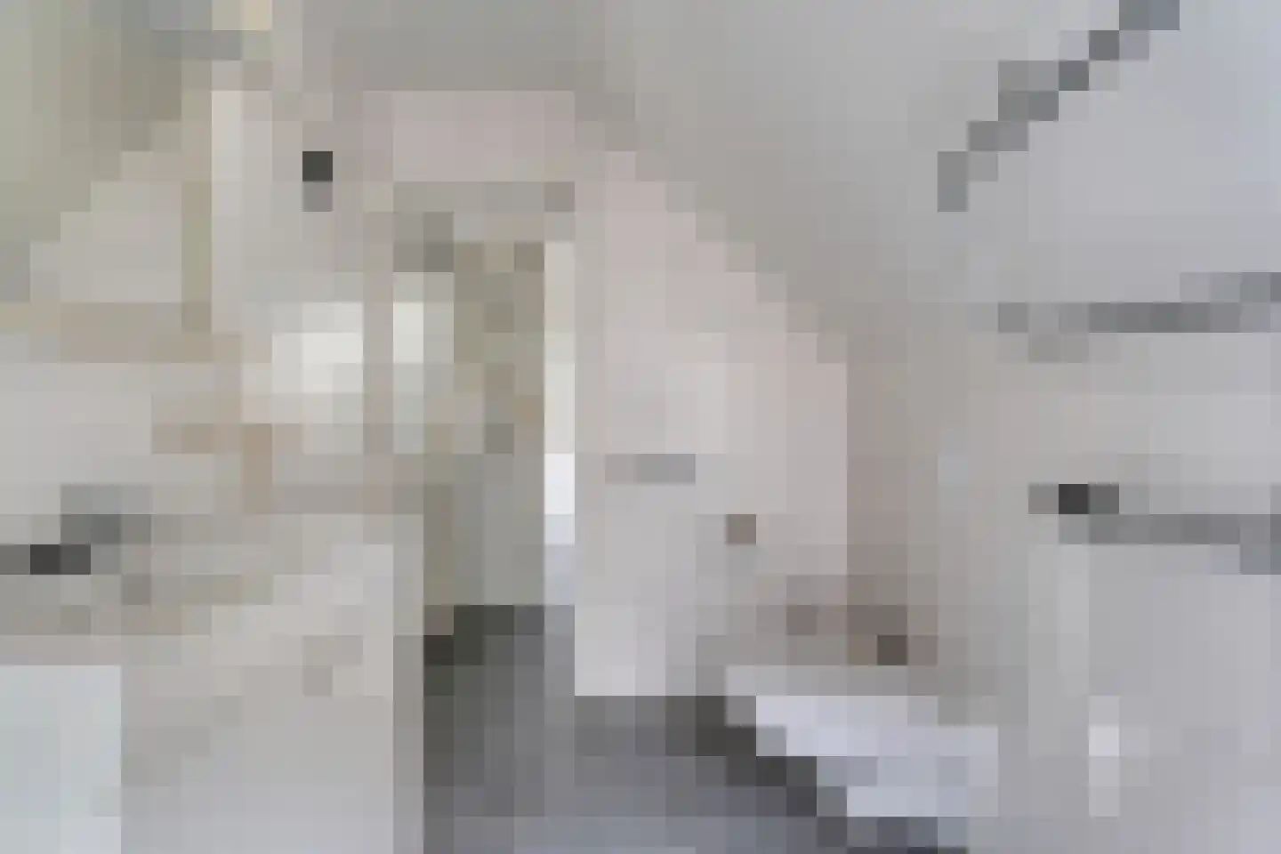 Emtenbroekerdijk 29 Kloosterhaar thumbnail 54