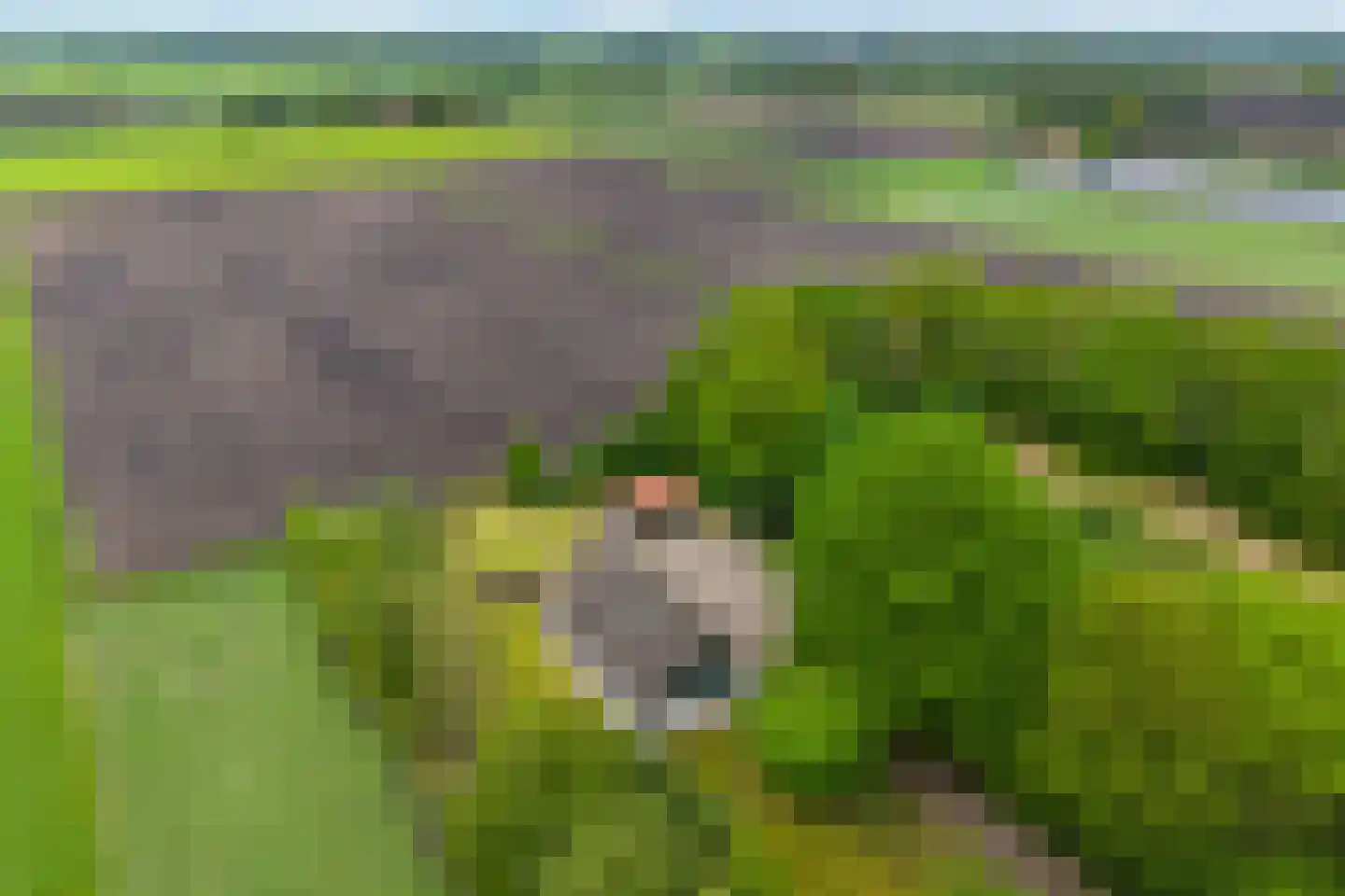 Emtenbroekerdijk 29 Kloosterhaar thumbnail 6