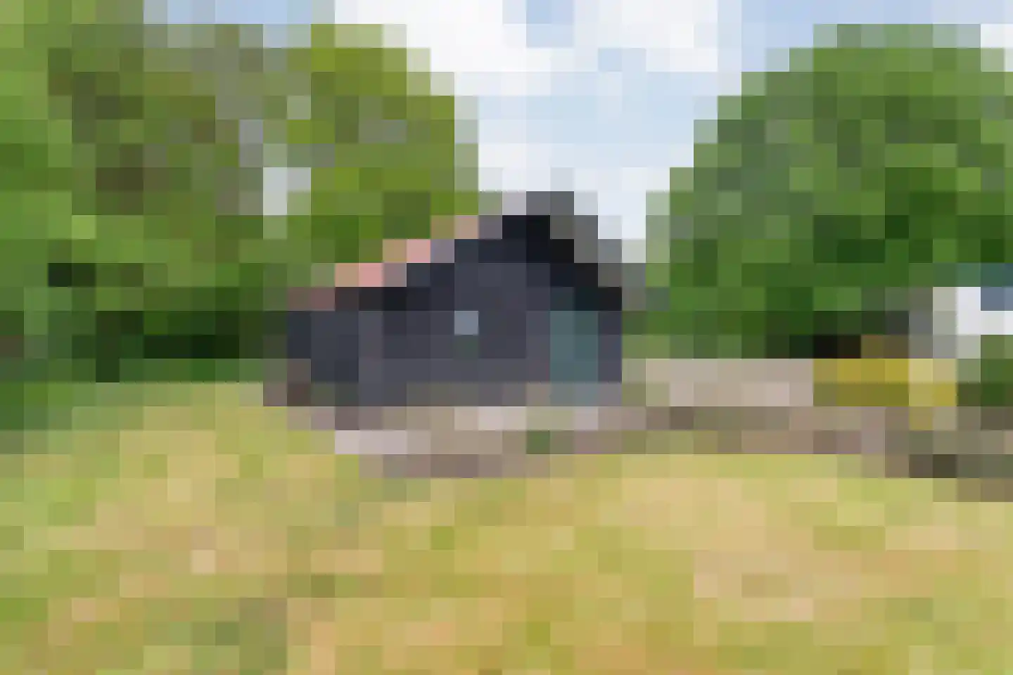 Emtenbroekerdijk 29 Kloosterhaar thumbnail 64