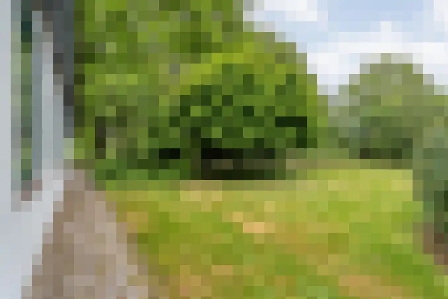 Emtenbroekerdijk 29 Kloosterhaar thumbnail 68