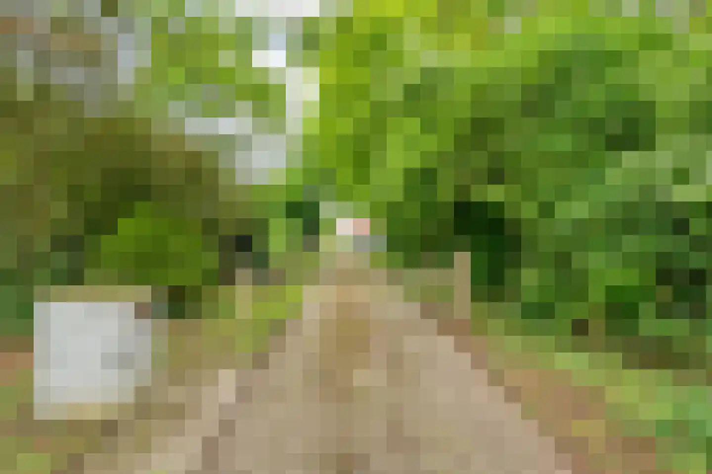 Emtenbroekerdijk 29 Kloosterhaar thumbnail 7