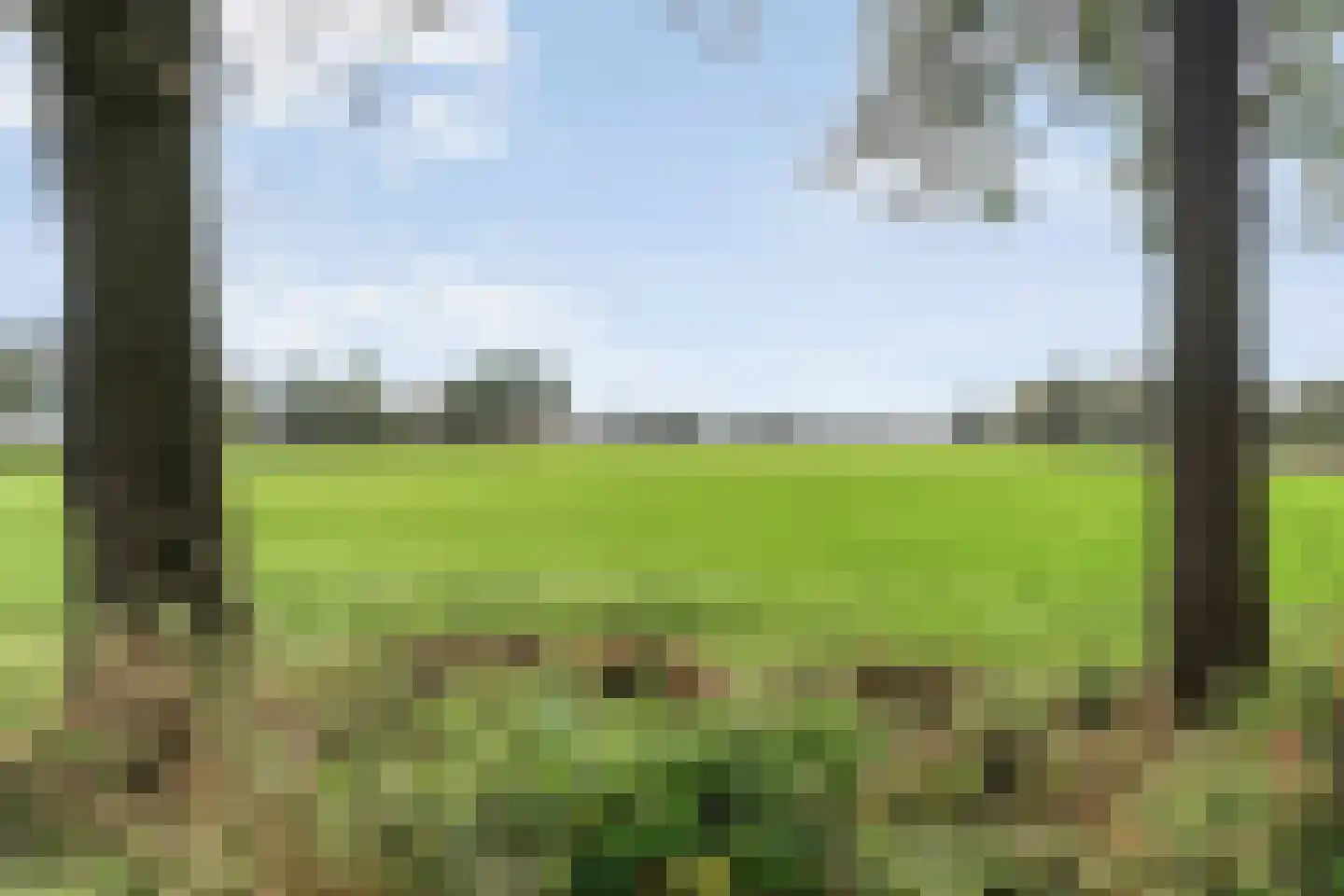 Emtenbroekerdijk 40 Bruchterveld thumbnail 10