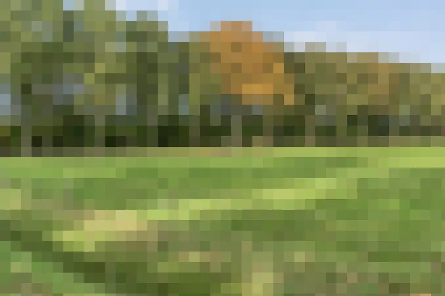 Emtenbroekerdijk 40 Bruchterveld thumbnail 11