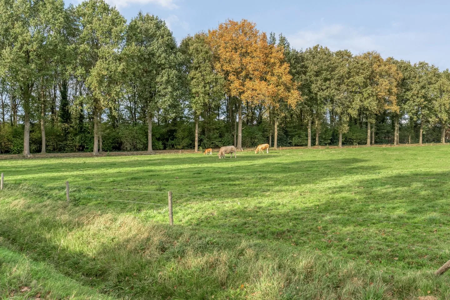 Emtenbroekerdijk 40 Bruchterveld thumbnail 11