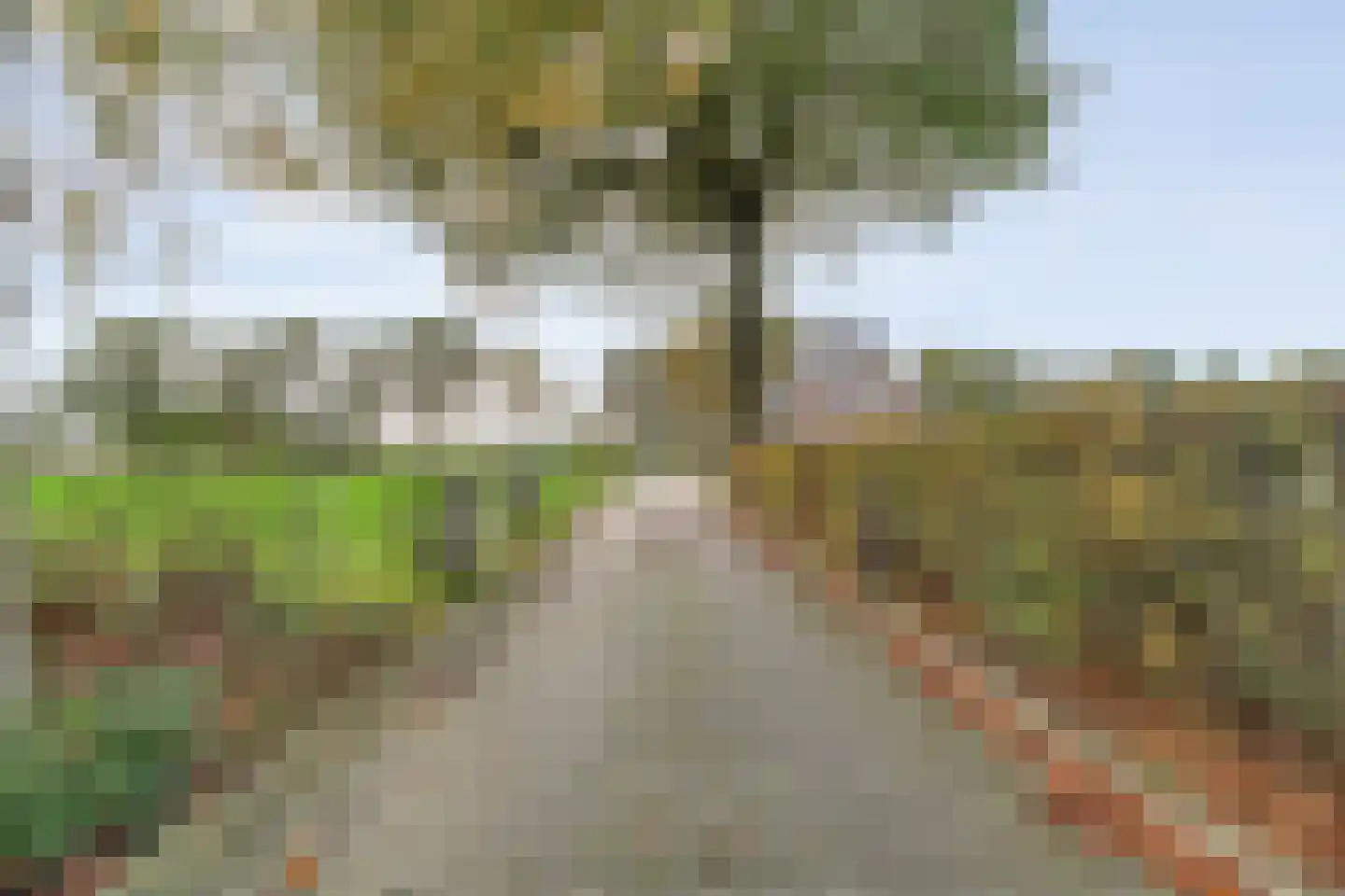 Emtenbroekerdijk 40 Bruchterveld thumbnail 13