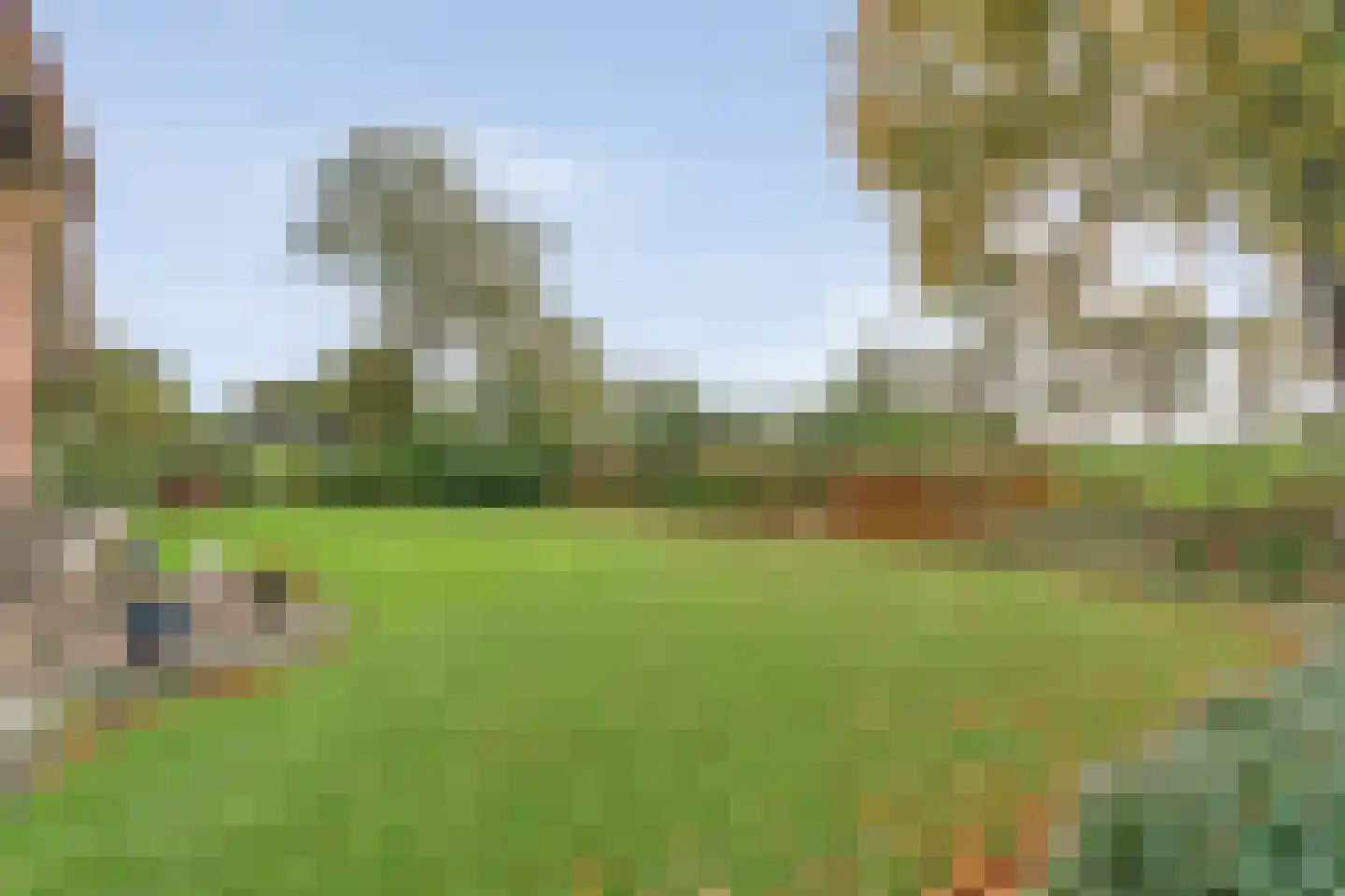 Emtenbroekerdijk 40 Bruchterveld thumbnail 14