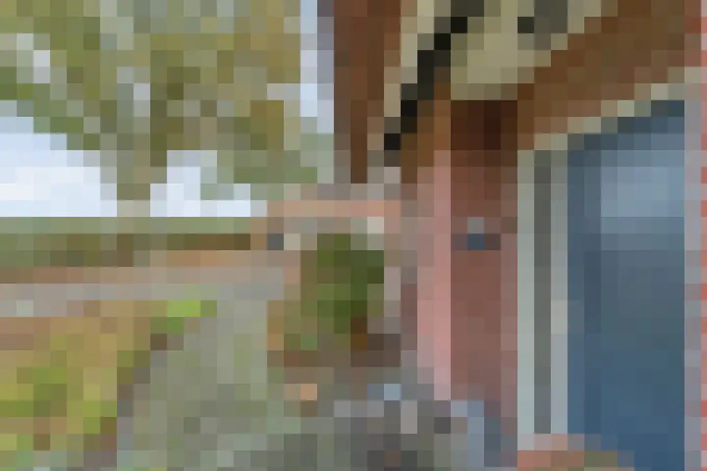Emtenbroekerdijk 40 Bruchterveld thumbnail 20