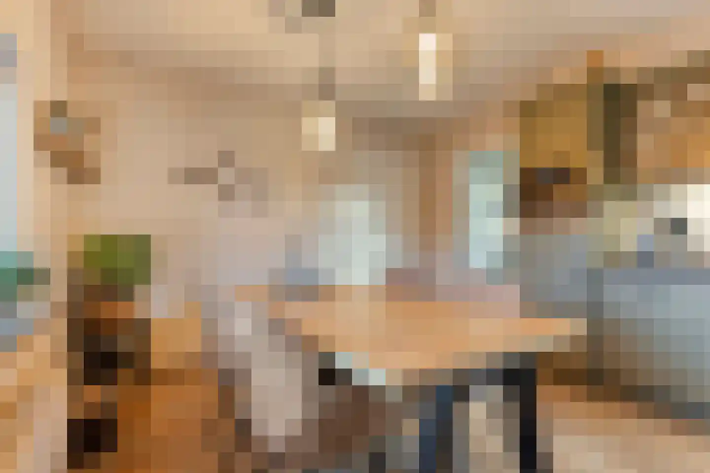 Emtenbroekerdijk 40 Bruchterveld thumbnail 27