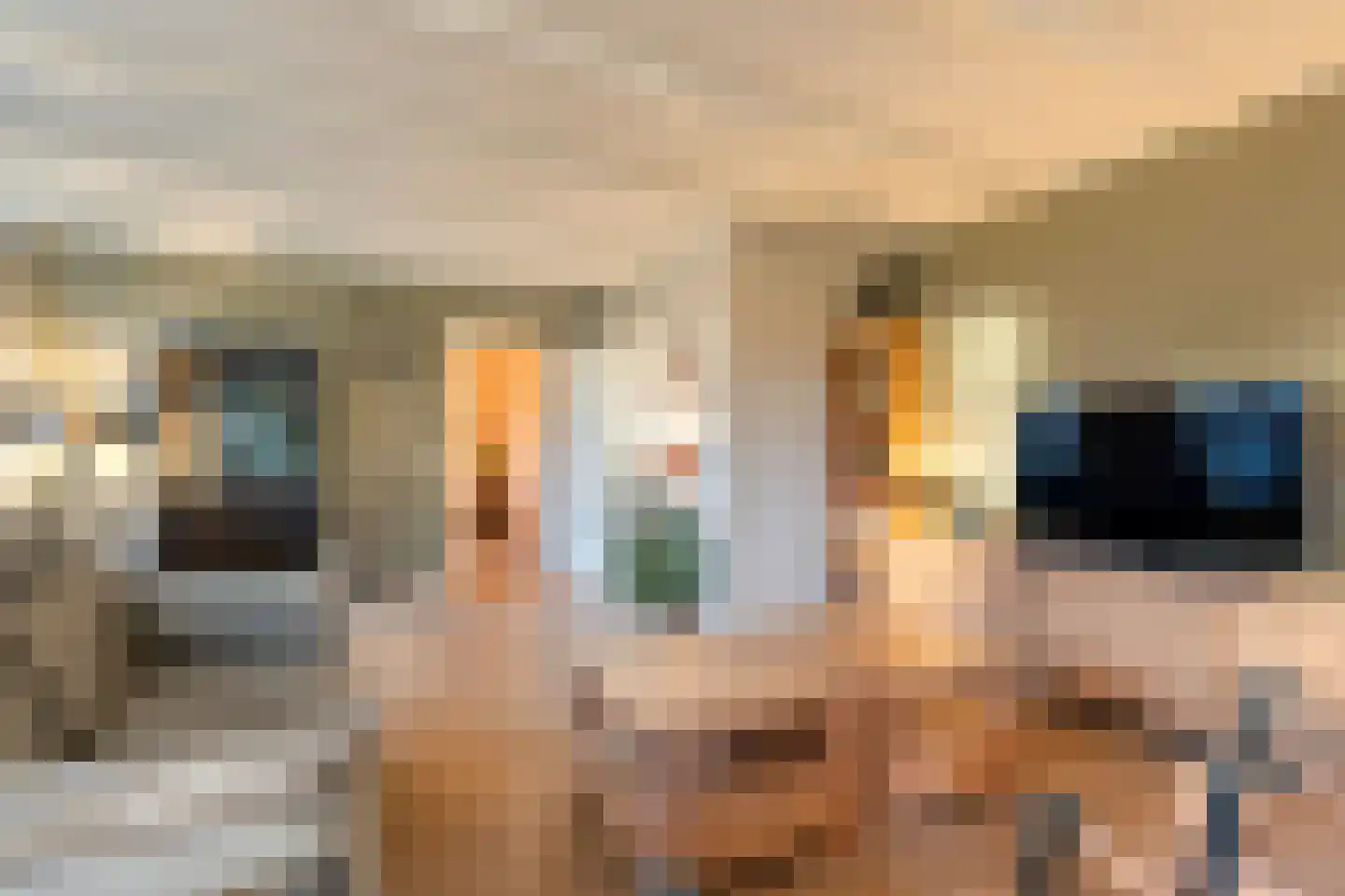 Emtenbroekerdijk 40 Bruchterveld thumbnail 31