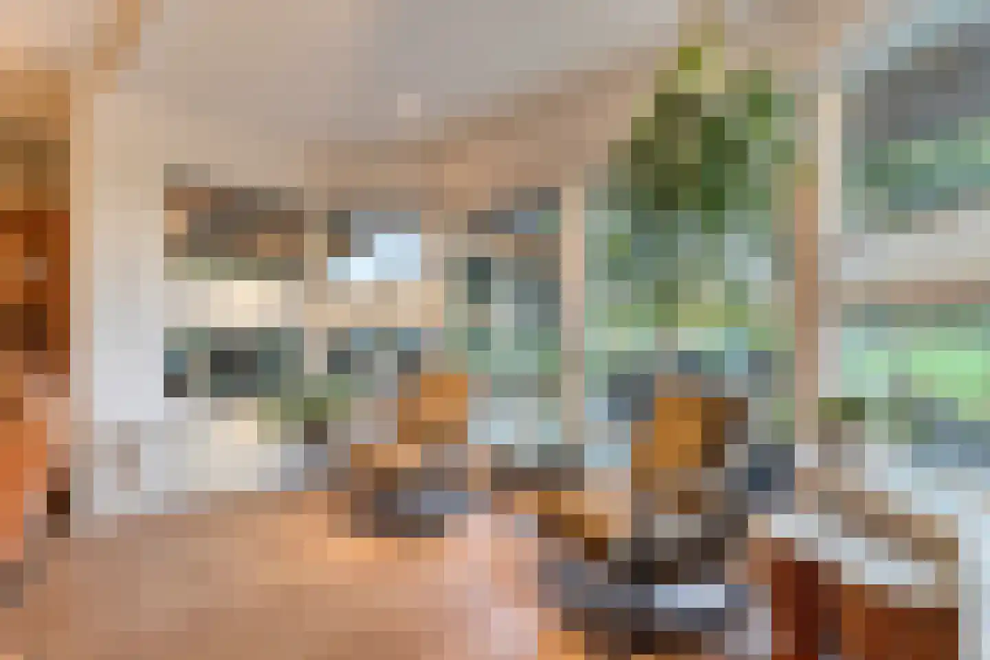 Emtenbroekerdijk 40 Bruchterveld thumbnail 32