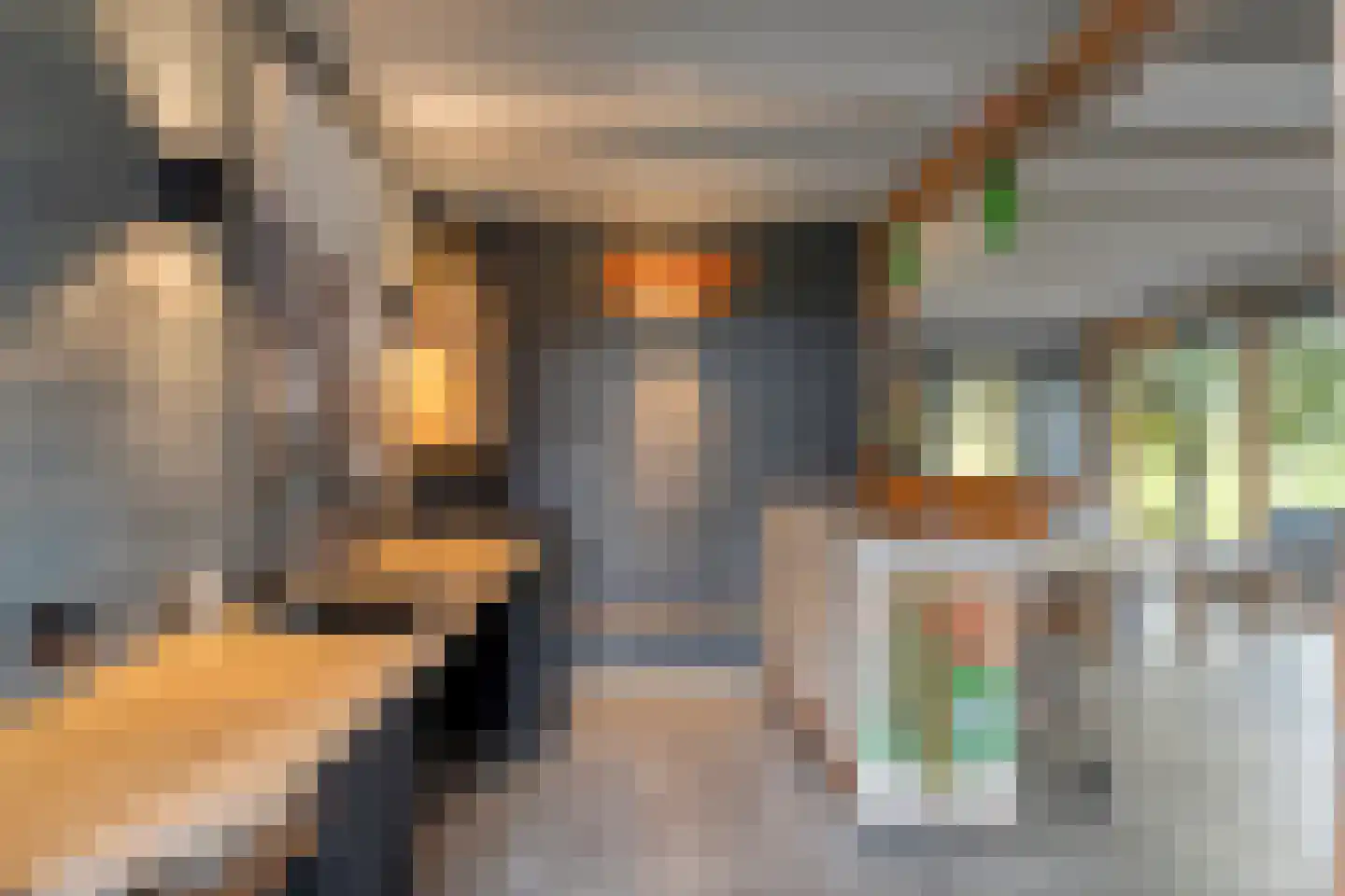 Emtenbroekerdijk 40 Bruchterveld thumbnail 34