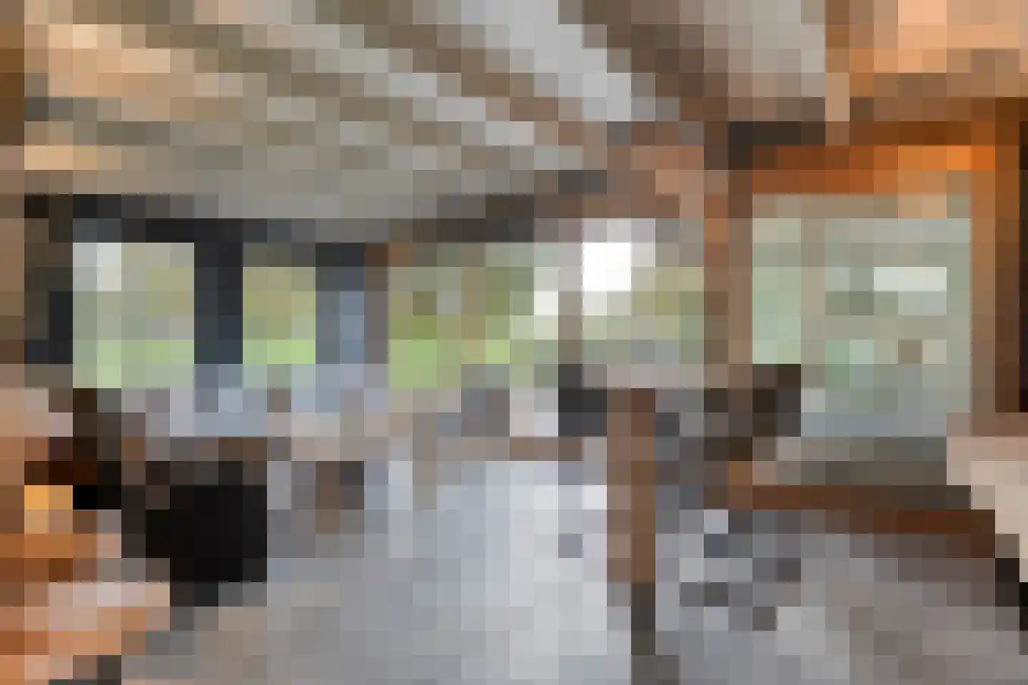 Emtenbroekerdijk 40 Bruchterveld thumbnail 35