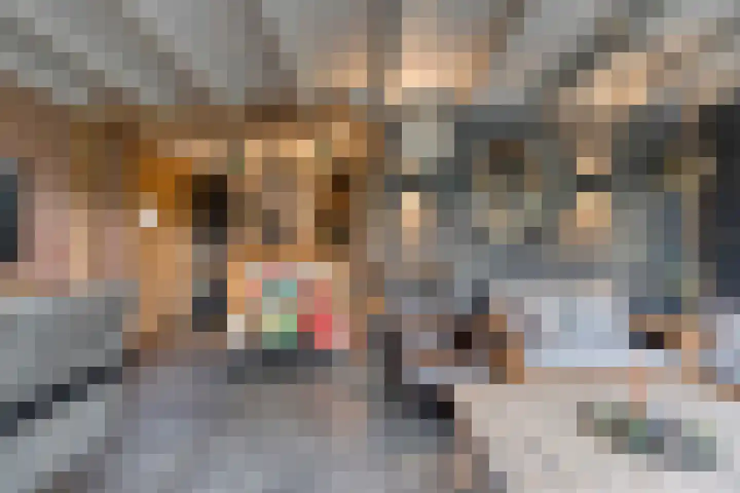 Emtenbroekerdijk 40 Bruchterveld thumbnail 37
