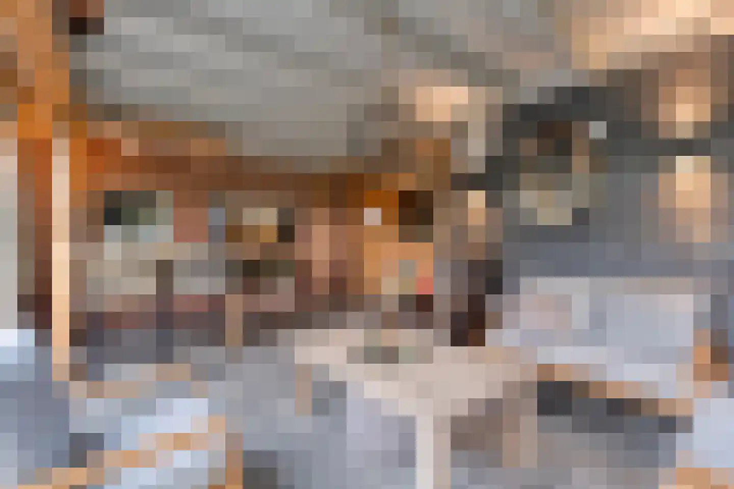 Emtenbroekerdijk 40 Bruchterveld thumbnail 38