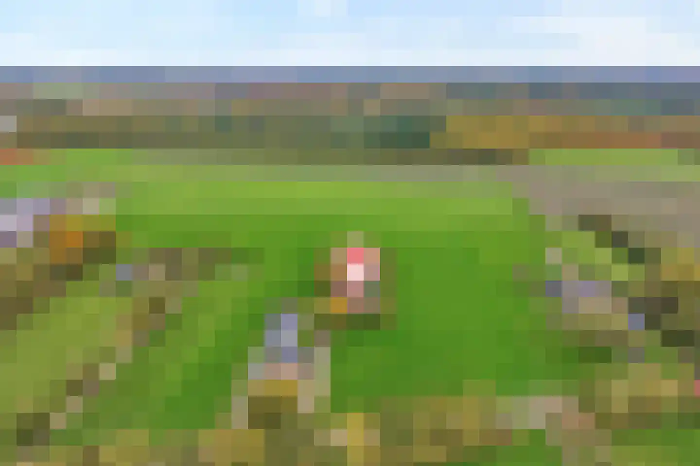 Emtenbroekerdijk 40 Bruchterveld thumbnail 4