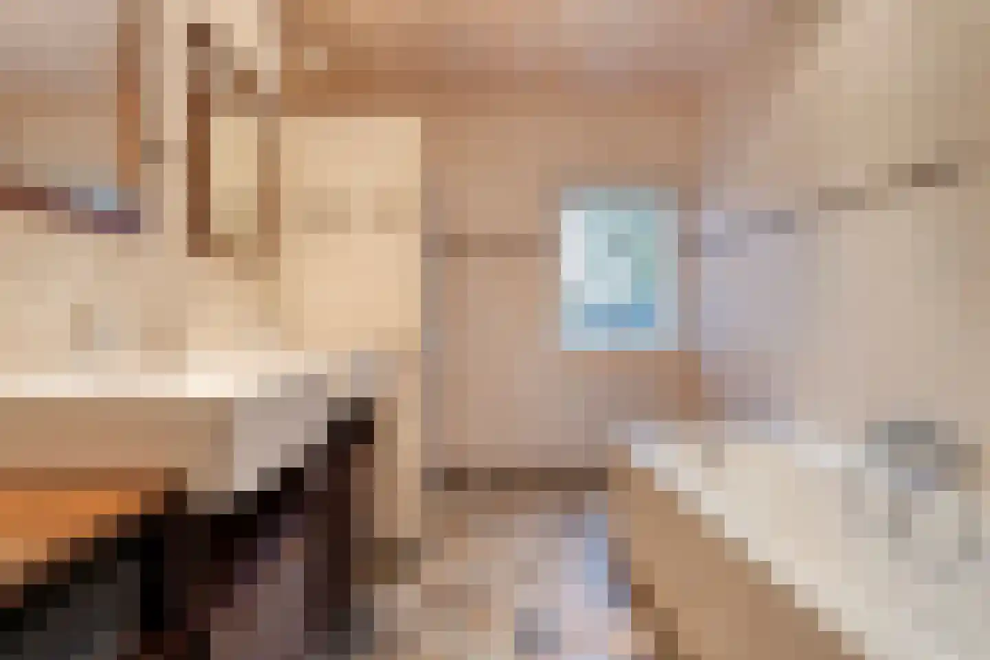 Emtenbroekerdijk 40 Bruchterveld thumbnail 43