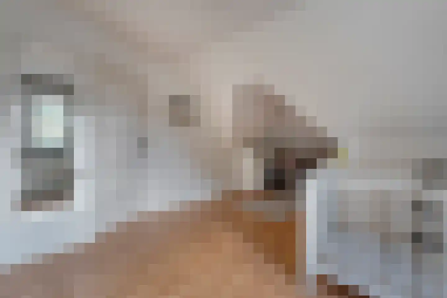 Emtenbroekerdijk 40 Bruchterveld thumbnail 53