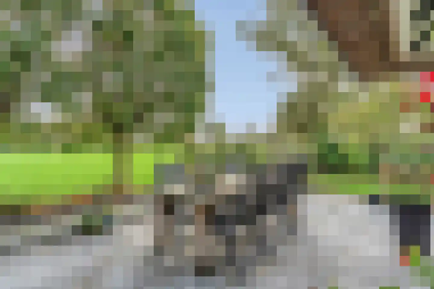 Emtenbroekerdijk 40 Bruchterveld thumbnail 71