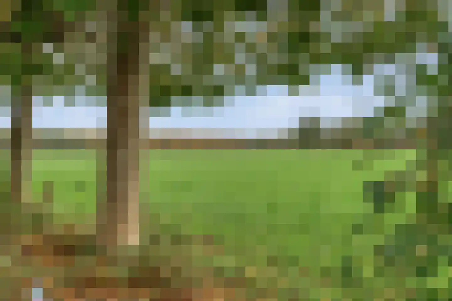 Emtenbroekerdijk 40 Bruchterveld thumbnail 75