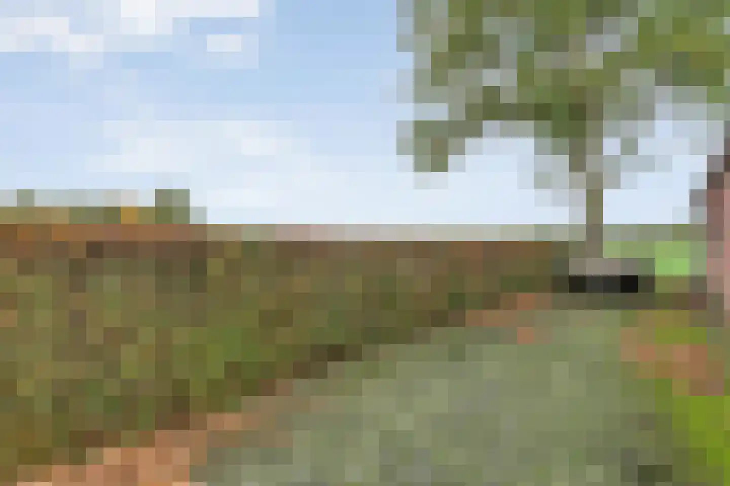 Emtenbroekerdijk 40 Bruchterveld thumbnail 82