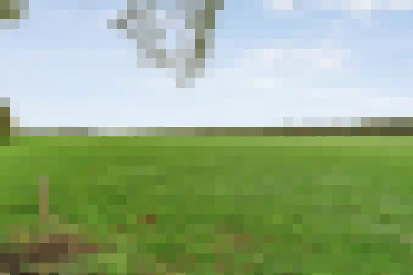 Emtenbroekerdijk 40 Bruchterveld thumbnail 84