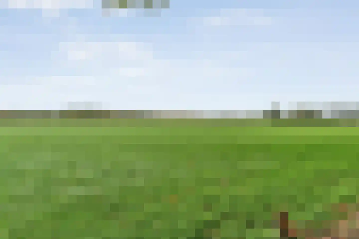 Emtenbroekerdijk 40 Bruchterveld thumbnail 85